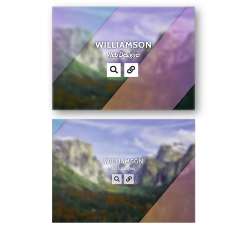 Hover Effect Style 218